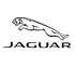 Jaguar (Copy)